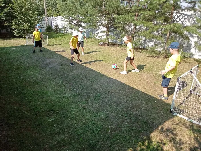 футбол (2)