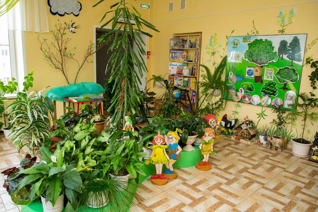 51-Зимний сад