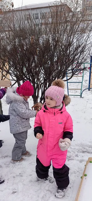 51-Лучики-Синичкин день (2)